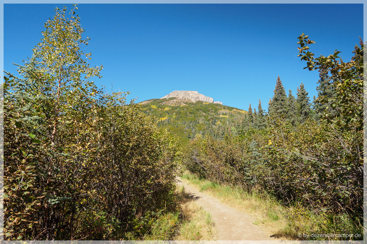 Mount Healy Overlook Trail