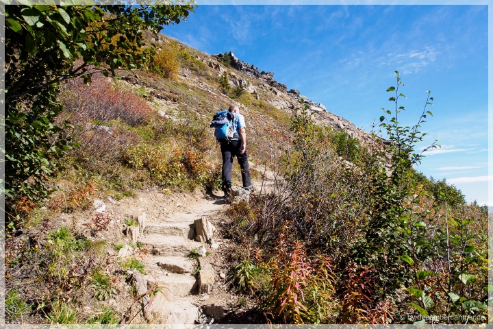 Mount Healy Overlook Trail