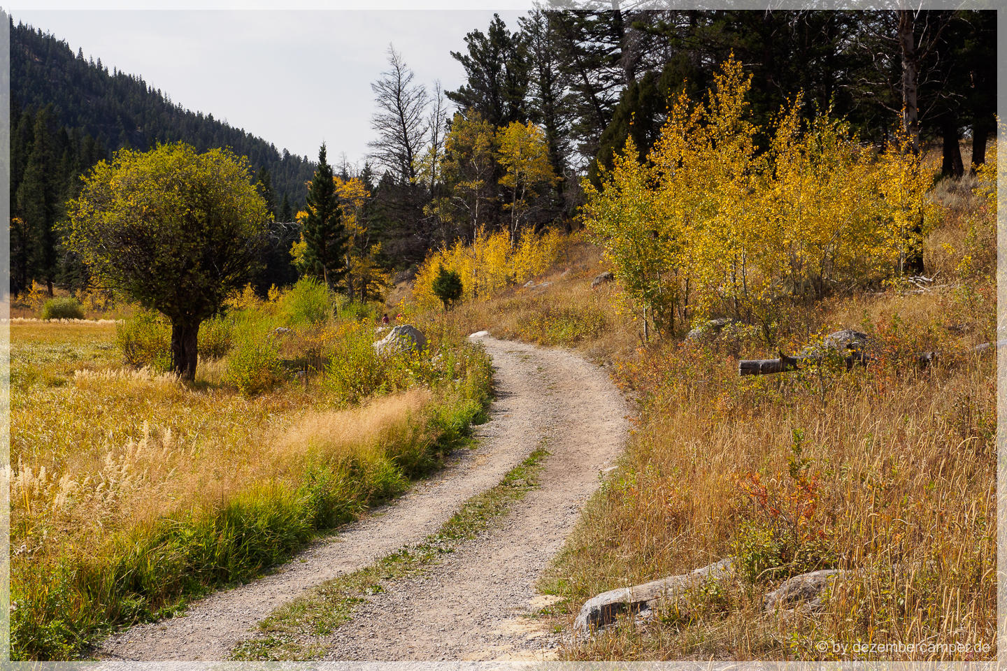 Yellowstone NP - Slough Creek Trail