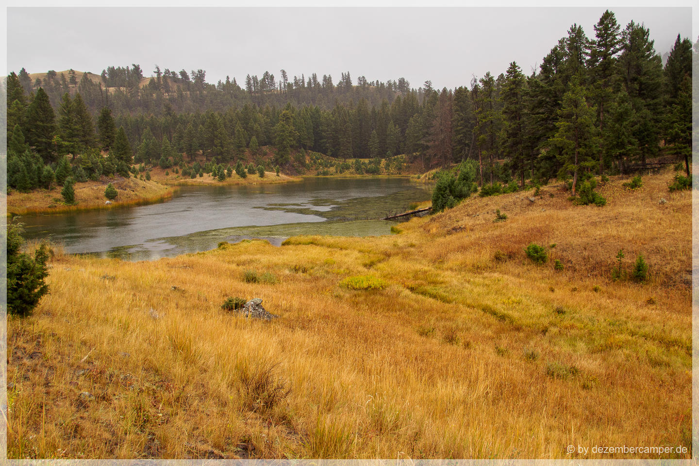 Yellowstone NP - Beaver Ponds Trail