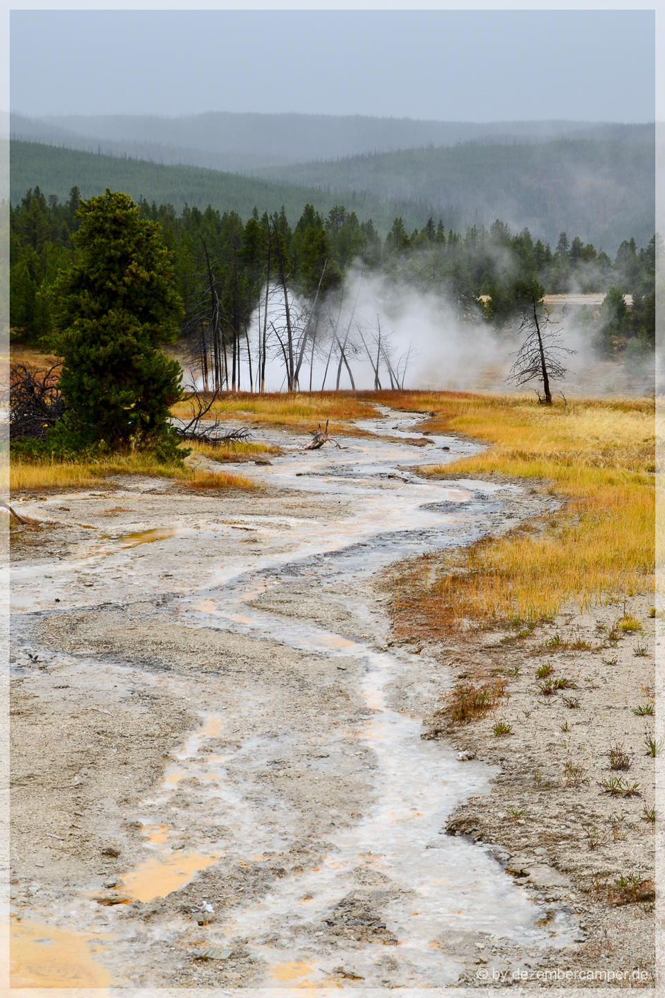 Yellowstone NP - Upper Geysir Basin