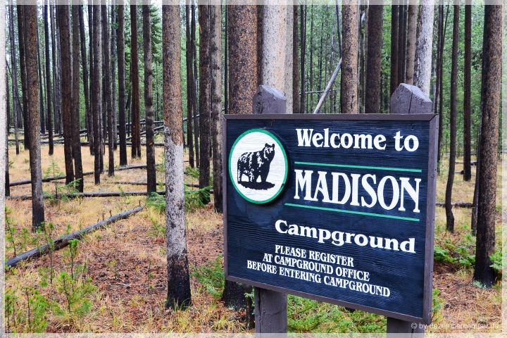 Yellowstone NP - Bye bye to Madison CG