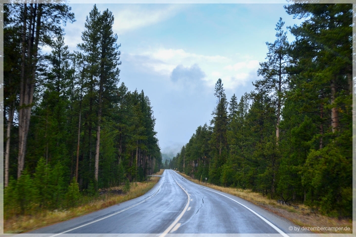 Yellowstone NP - on the rainy roads