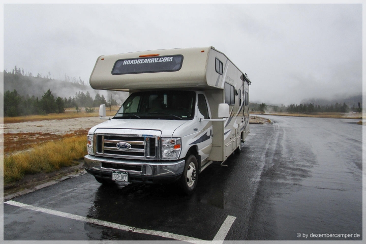 Yellowstone NP - Rainy Roadbear