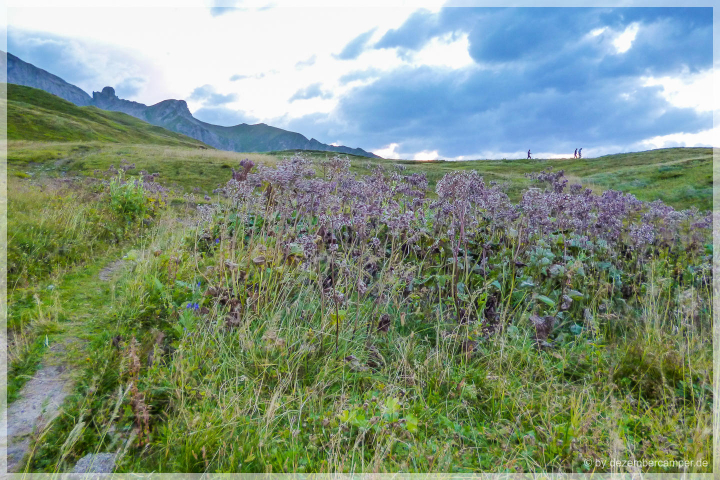 Hinter der Kemptner Hütte Hinter der Kemptner Hütte