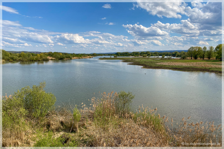 Vogelinsel Altmühlsee