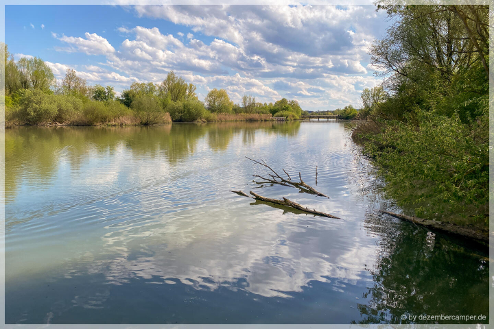 Vogelinsel Altmühlsee