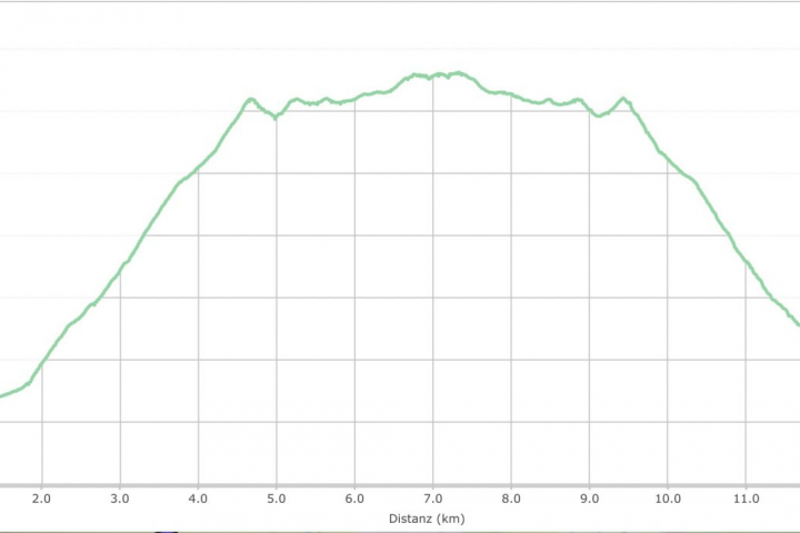 Höhenprofil Wanderung 1 (blau)