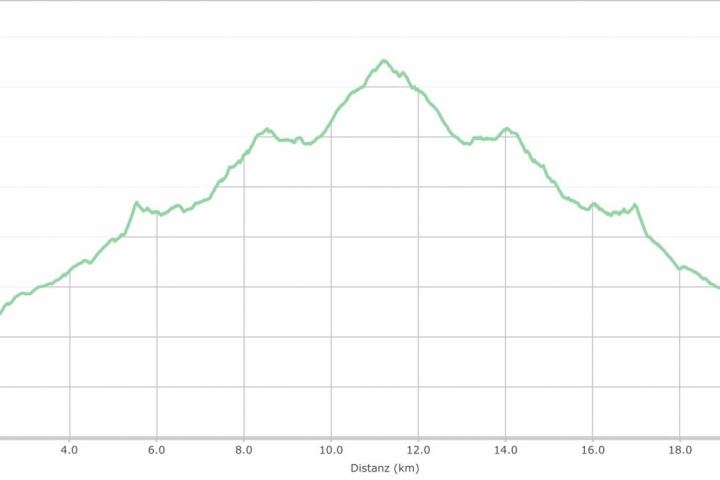 Höhenprofil Wanderung 2 (gelb)
